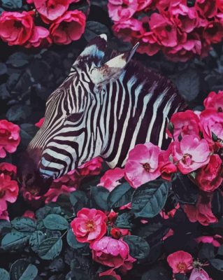 Zebra and Flowers paint by numbers