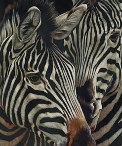 Zebra Animals paint by numbers