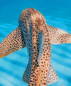 Zebra Shark paint by numbers