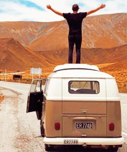 A Man Standing On The Roof Of The car painting by numbers