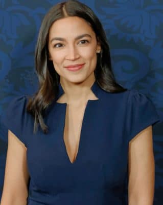 American politician woman painting by numbers