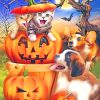 Animals Halloween paint by numbers