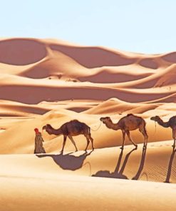 Arabic Camels In Desert paint by numbers