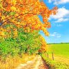 Autumn Landscape paint by numbers
