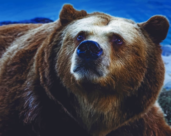 Big Brown Bear painting by numbers