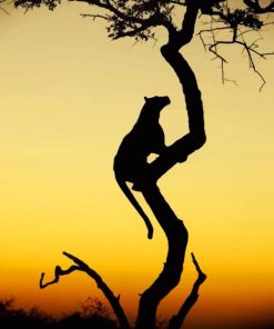 Big Cat Silhouette Sundown paint by numbers