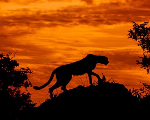 Big Cat Cheetah Silhouette paint by numbers
