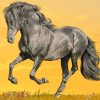 Black Horse Running painting by numbers