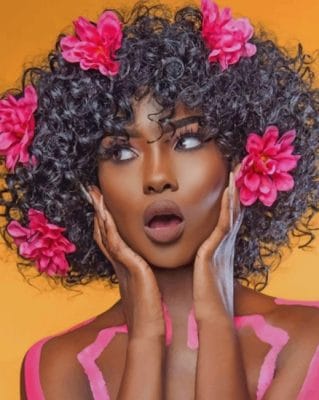 Black Woman Hairstyle Photoshoot paint by numbers