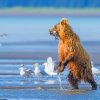 Brown Bear Hunting paint by numbers