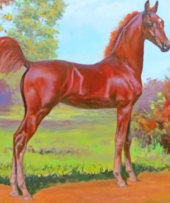 Brown Royal Horse paint by numbers