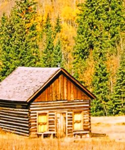 Brown Wooden Cabin In Farm paint by numbers