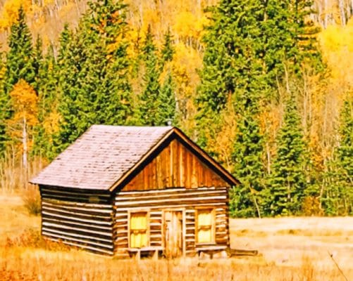 Brown Wooden Cabin In Farm paint by numbers