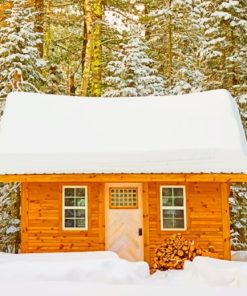 Brown Wooden House paint by numbers