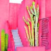 Cactus And Pink Wall Architecture paint by numbers