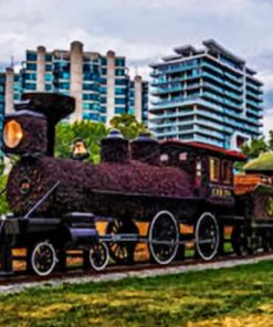 Canadian Old Train paint by numbers