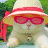 Cat With Sunglasses And Hat paint by numbers