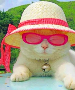 Cat With Sunglasses And Hat paint by numbers