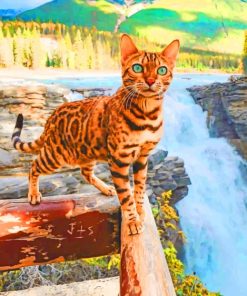 Cat In Athabasca Falls paint by numbers