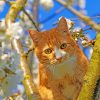 Orange Cat On A Tree paint by numbers