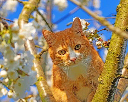 Orange Cat On A Tree paint by numbers