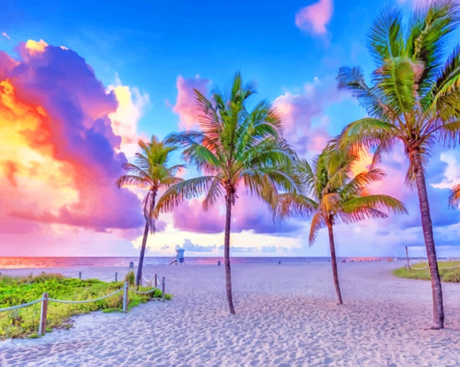 Coconut Trees At Pompano Beach paint by numbers