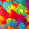 Colorful Feathers paint by numbers