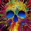 Colorful Skull painting by numbers