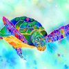 Colorful Turtle paint by numbers