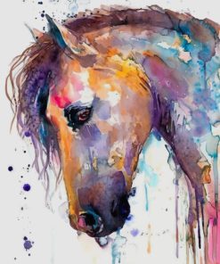 Colorful Watercolor Horse paint by numbers