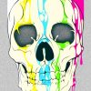 Colors Splash Skull paint by numbers