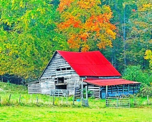 Countryside House paint by numbers