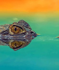 Crocodile's Eye painting by numbers