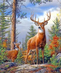 Deer In Forest paint by numbers