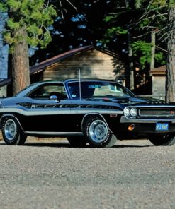 Black Dodge 1970 Challenger paint by numbers