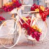 Floral vintage Bike paint by numbers