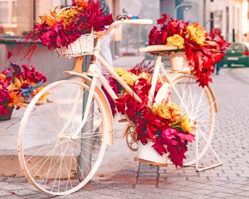 Floral vintage Bike paint by numbers