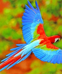 Flying Colorful Scarlet Macaw paint by numbers