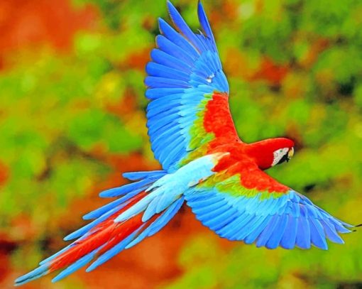 Flying Colorful Scarlet Macaw paint by numbers
