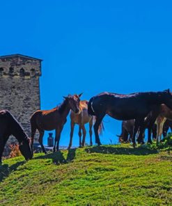 Georgian Village Horses paint by numbers