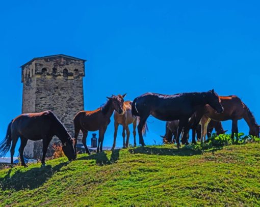 Georgian Village Horses paint by numbers