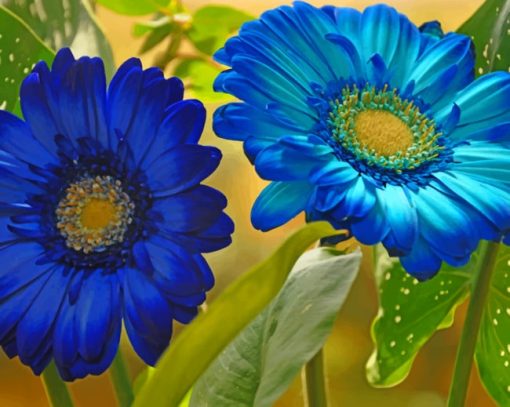 Gerberas Flower Closeup paint by numbers