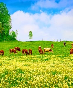 Germany Grassland paint By Numbers