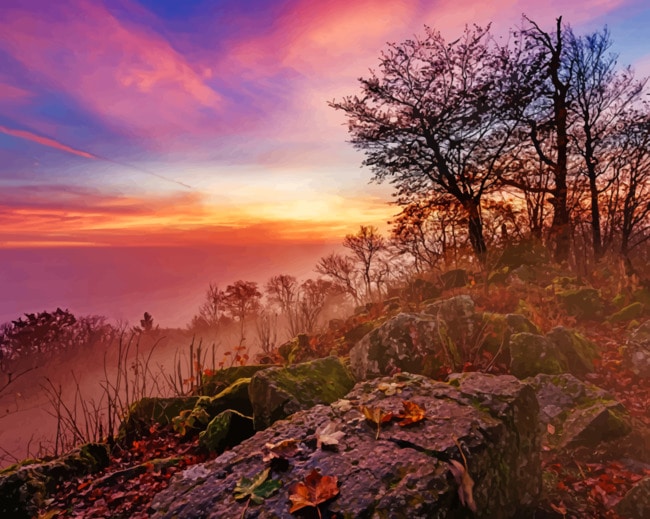 Morning Sunrise In Germany paint by numbers
