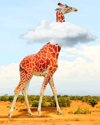 Giraffe In Cloud Art paint by numbers