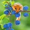 Hazel Dormouse paint by numbers