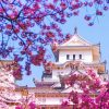 Himeji Castle Japan painting by numbers