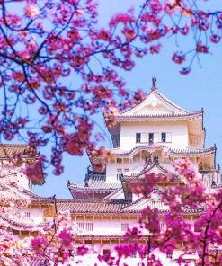 Himeji Castle Japan painting by numbers