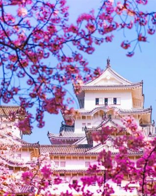 Himeji Castle Japan painting by numbers