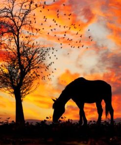 Horse Silhouette paint by numbers